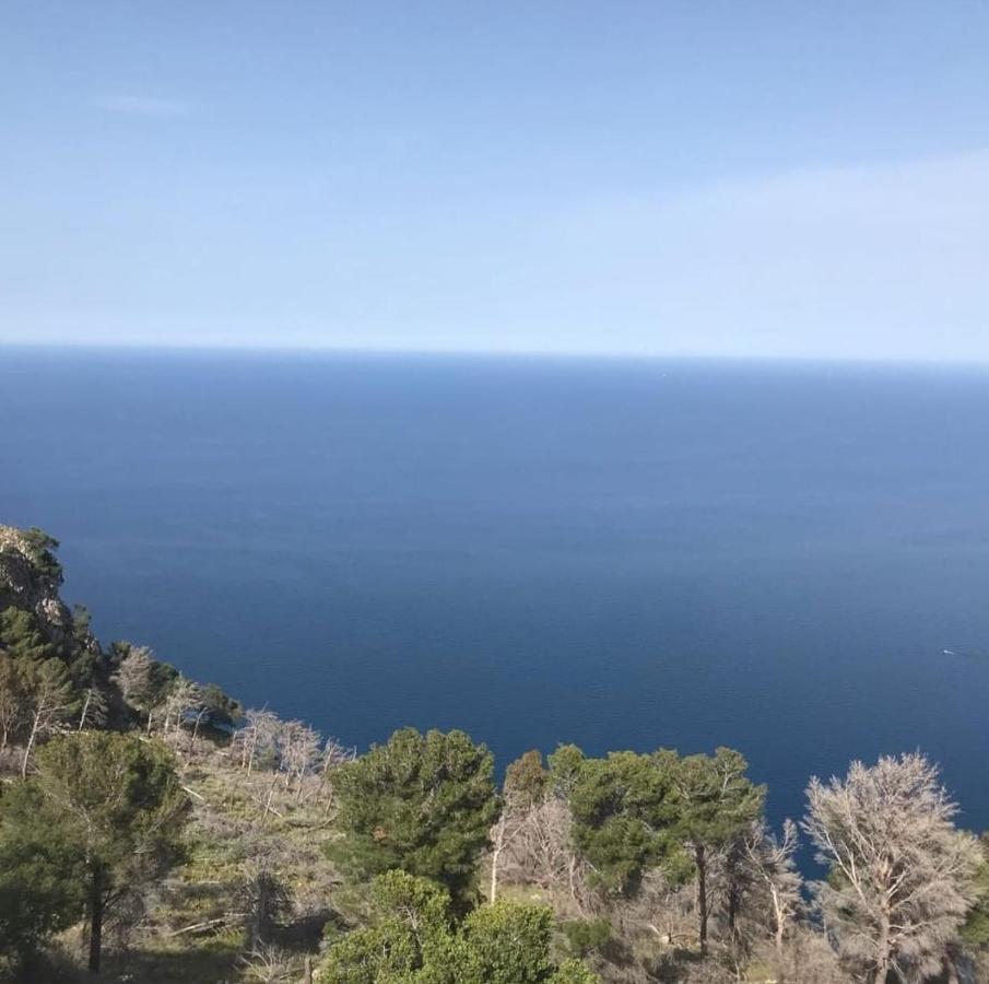 La Trinacria Mare Apartment Palermo Bagian luar foto